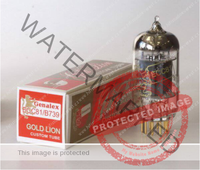 Gold Lion 12AT7 / ECC81 / Russia
